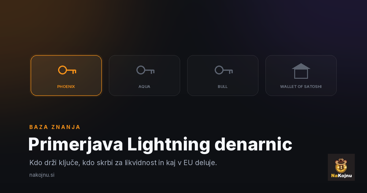 Primerjava Lightning denarnic